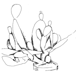 Cactus, study