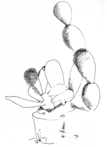 Cactus, study