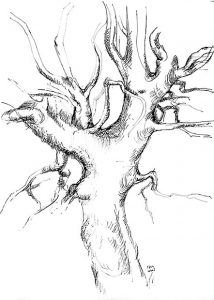 Organic composition, sketch